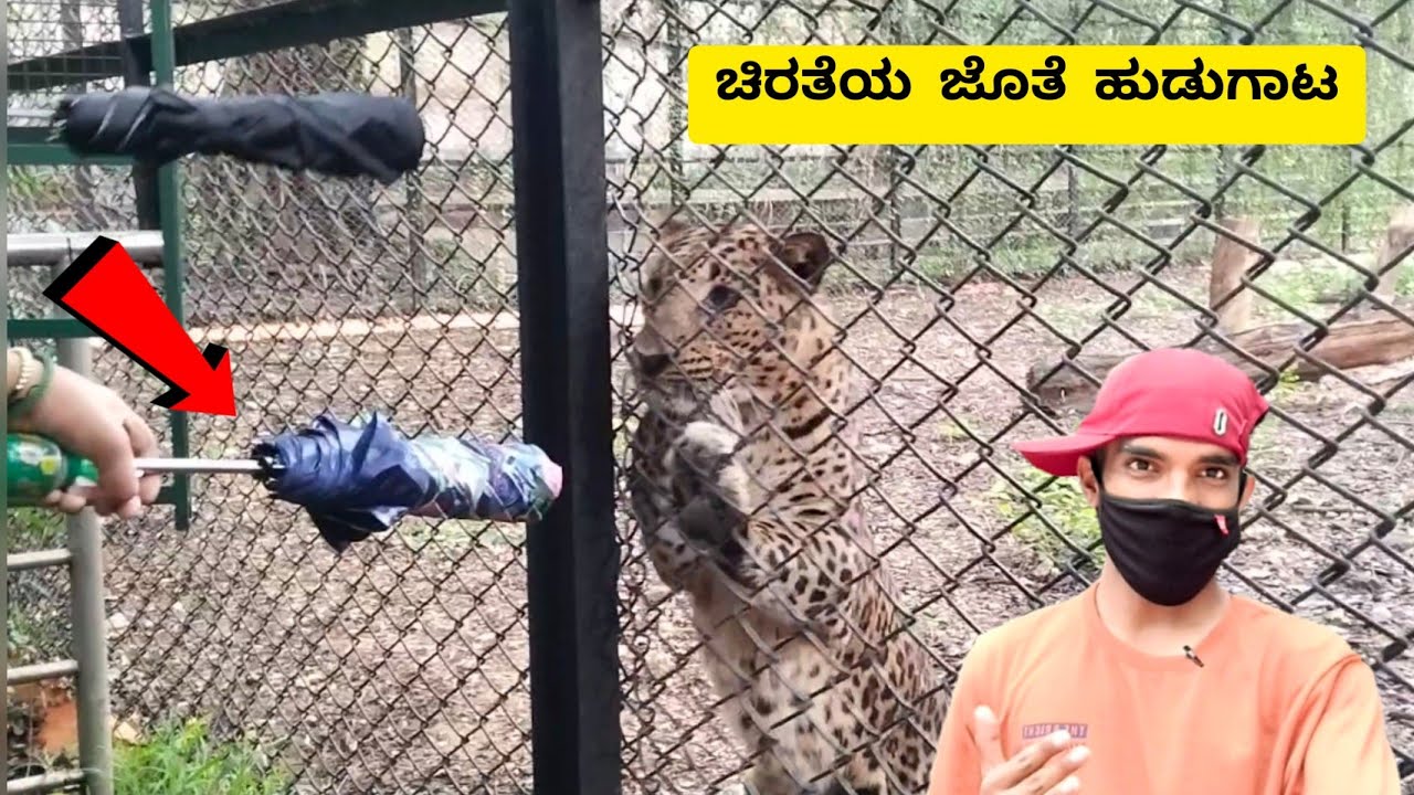Mysore zoo | ಮೈಸೂರು ಮೃಗಾಲಯ | Karnataka tourism | Kannada Visitor