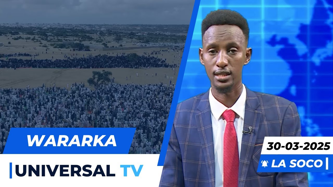 Warka Universal Tv 30 03 2025