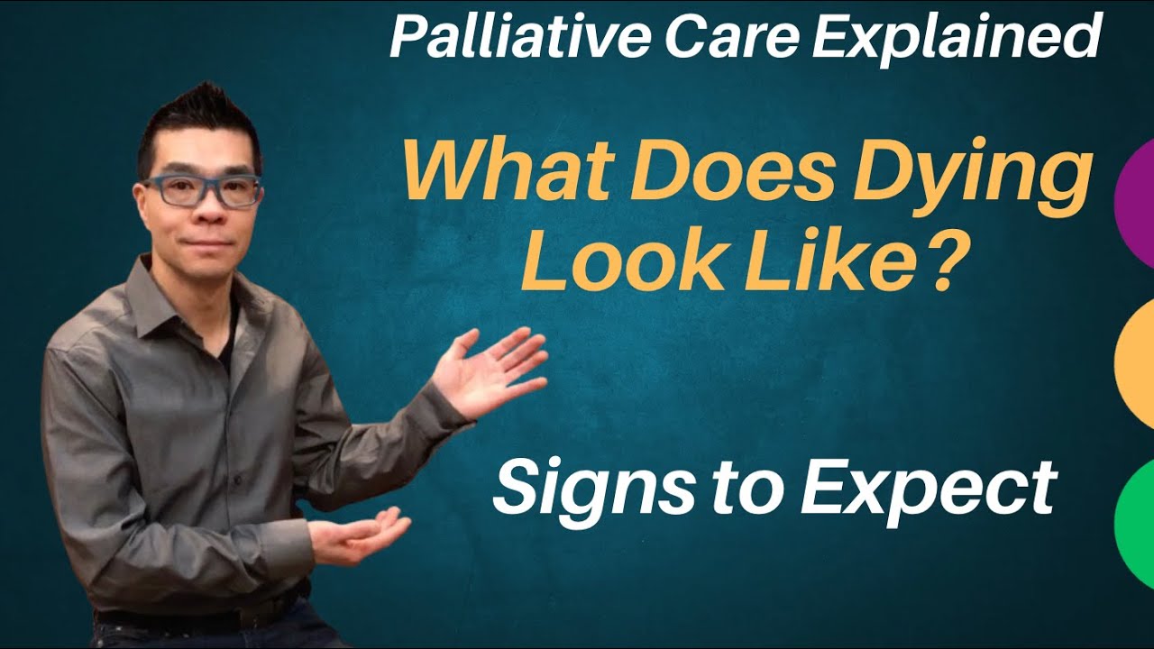 Palliative Care: What Does Dying Look Like? Signs to Expect