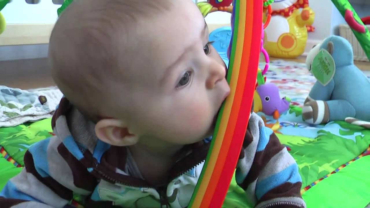 Griffin at Six Months Old