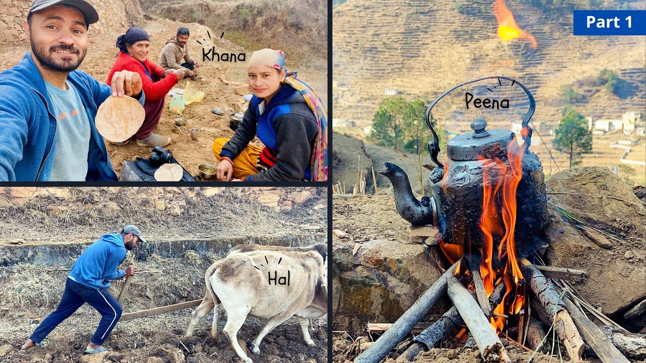 My first experience with Hal | PICNIC WITH FAMILY | Part 1