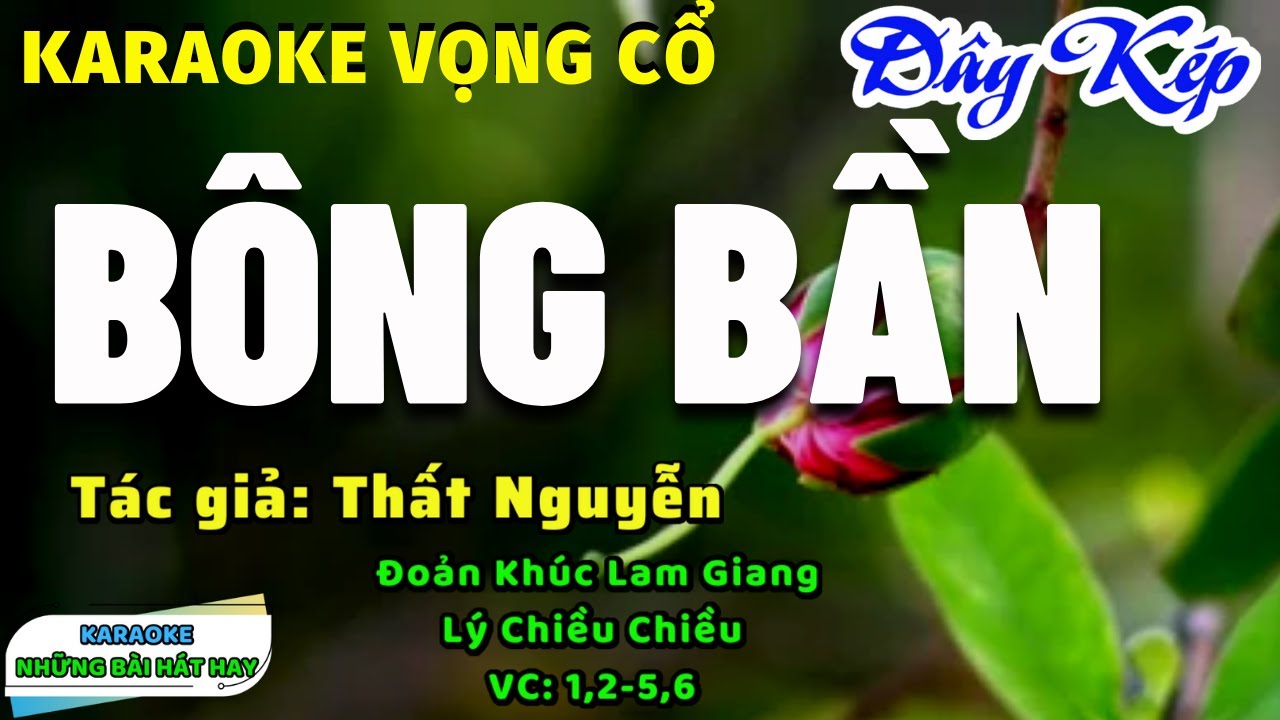 Karaoke Vọng Cổ Bông Bần I Dây Kép I Tác giả Thất Nguyễn