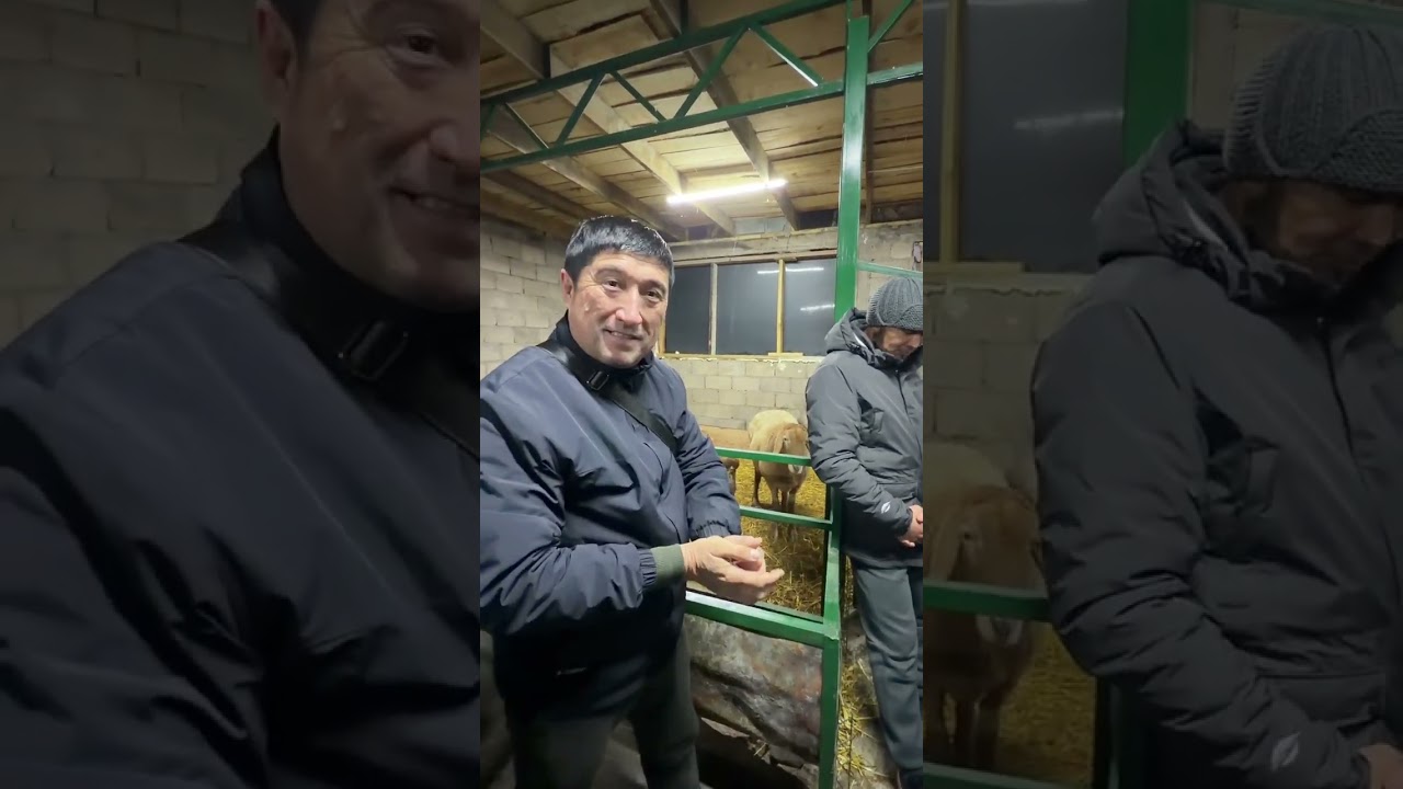 Арашан ишкибозлари Зохиджон Хакимов