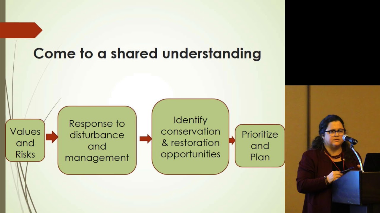Coordinated and Collaborative Strategic Conservation and Restoration Investments