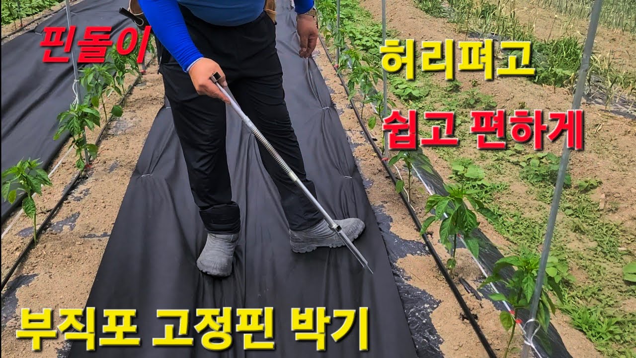 허리펴고 쉽고 편하게  부직포 고정핀 박기..  너무 쉬워요.