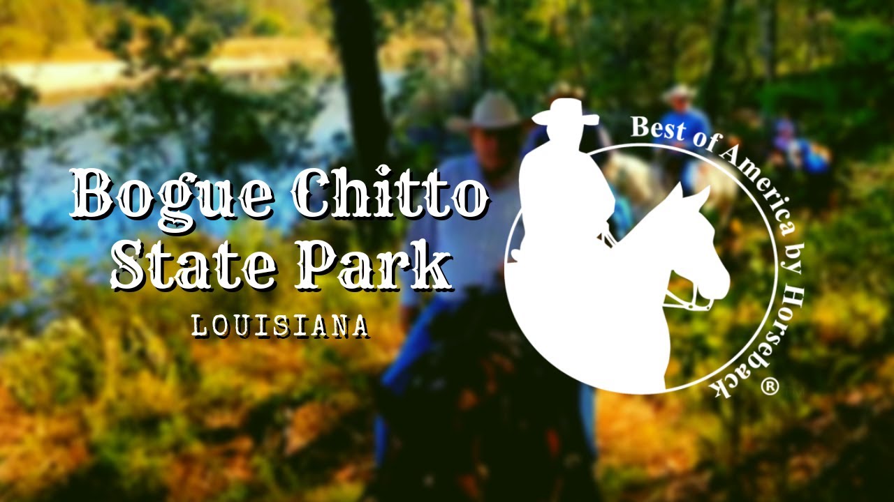 Bogue Chitto State Park, LA