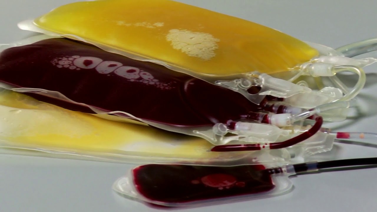 Reveos Automated Blood Processing System: How it works