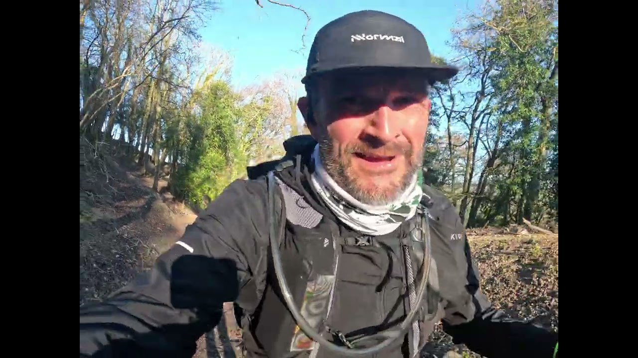 Wiltshire hills run to Dorset 