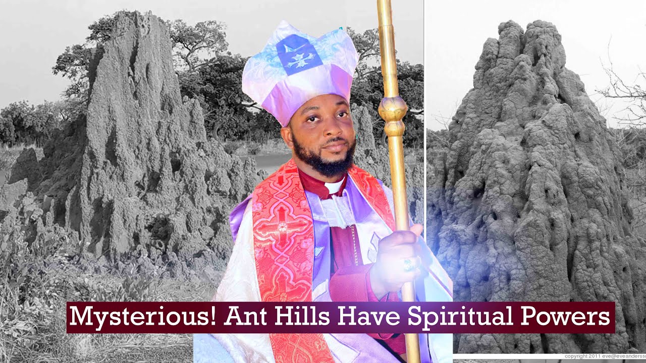 Mysterious! Ant Hills Have Spiritual Powers For Protection, Prosperity & Can Expose Cheating Couples