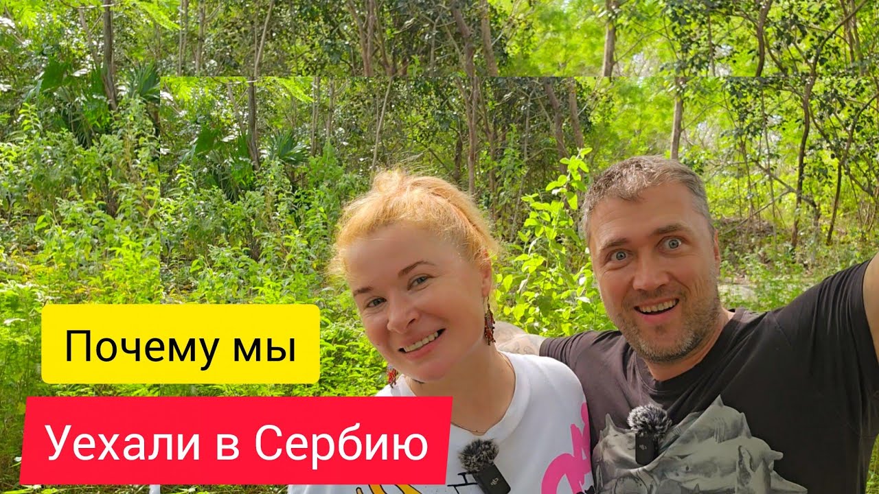 Уехали в Сербию. Почему? Нюансы 