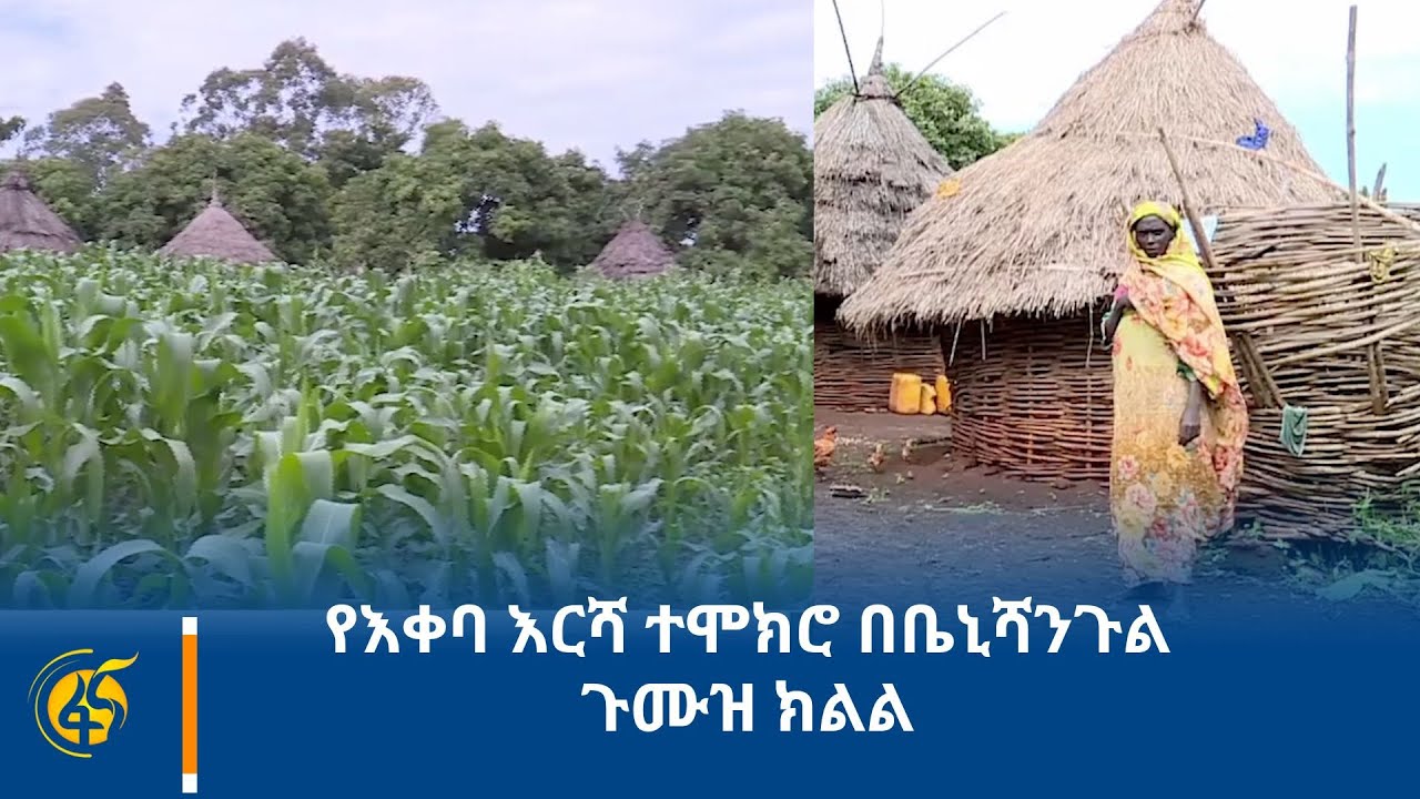 የእቀባ እርሻ ተሞክሮ በቤኒሻንጉል ጉሙዝ ክልል