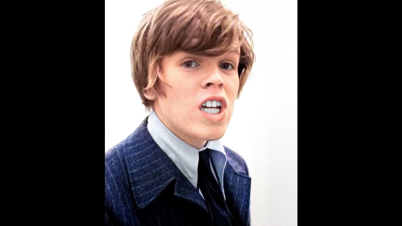 Can't You Hear My Heart Beat  -  Hermans Hermits