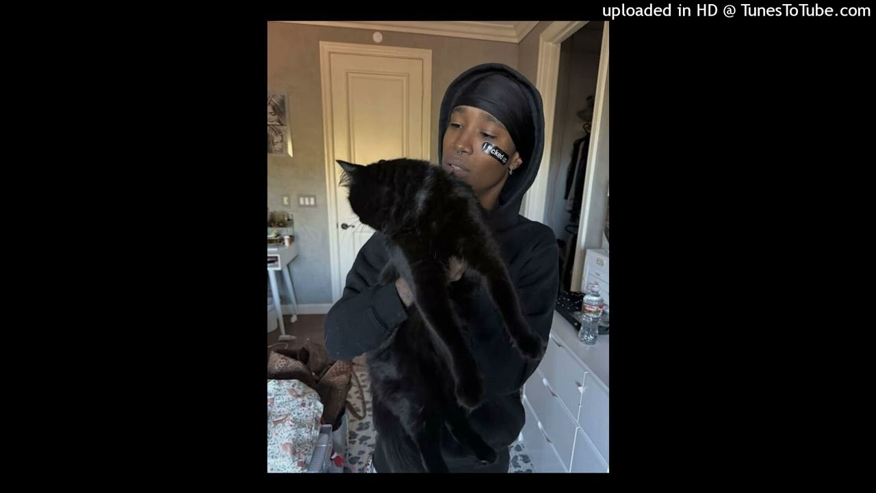 nine vicious x patrick x bella x emotions type beat - project - stanthekid