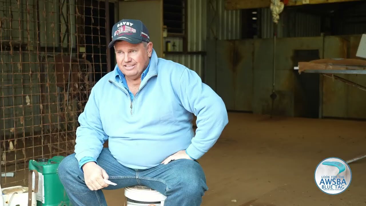 “The Aussie Whites are the backbone of our business.” Darren Leighton, Grassdale, west of Trundle.