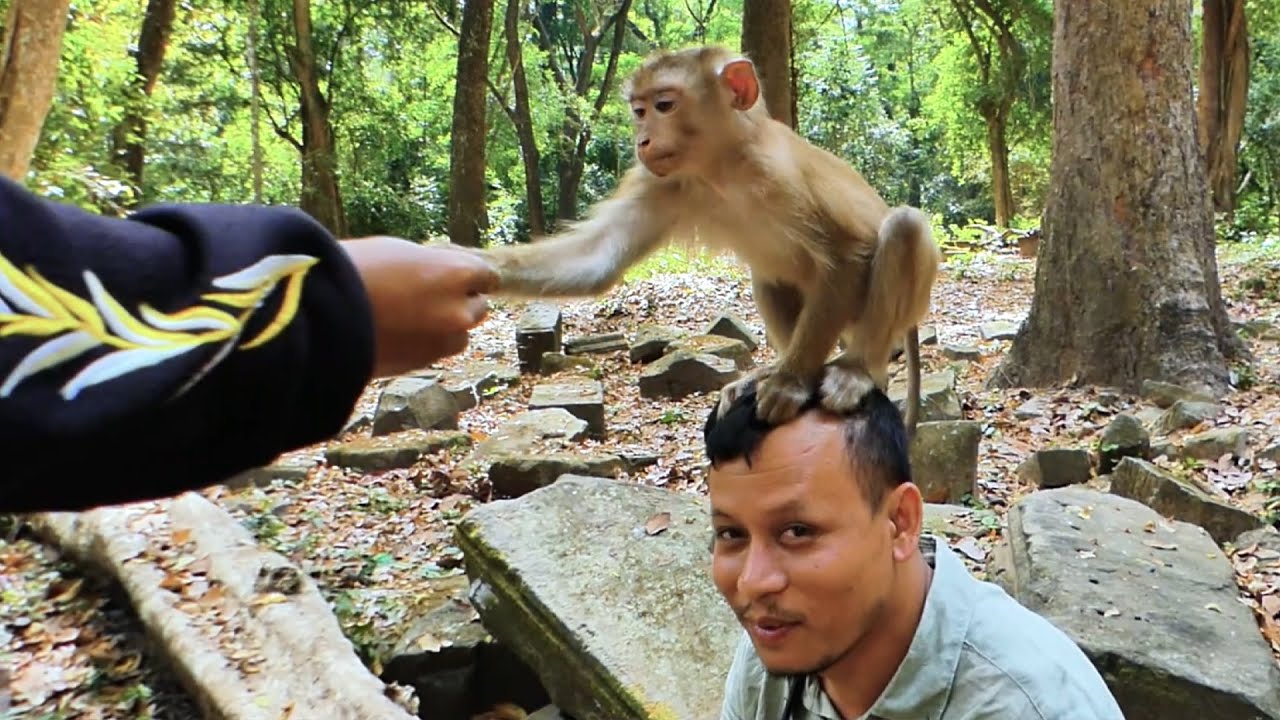 Brother Khna & Mr.Black enjoy relaxing with monkey Binky is comfortingly riding on the head of Khna