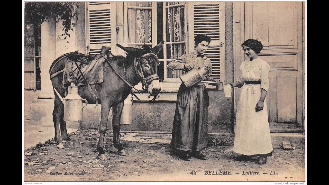 2019 Cartes postales Belleme 20 ème siècle : Anes & Chevaux
