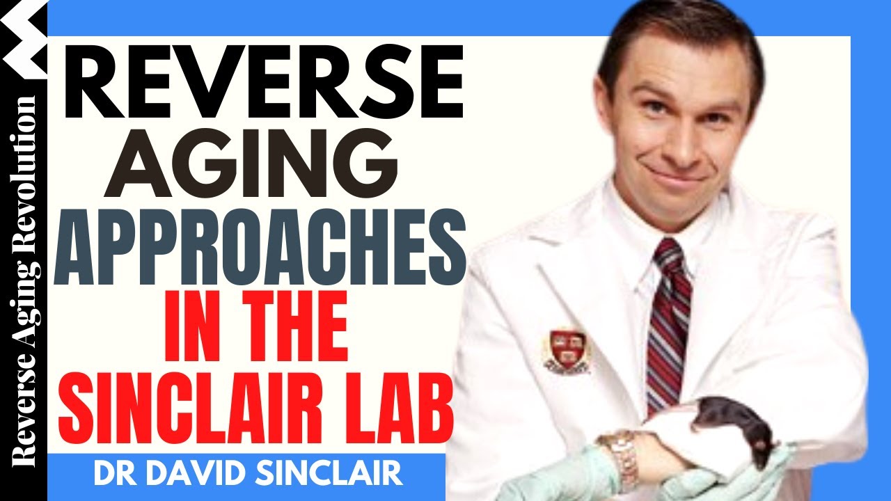 The Sinclair Lab - Reverse Aging Approaches | Dr David Sinclair Interview Clips