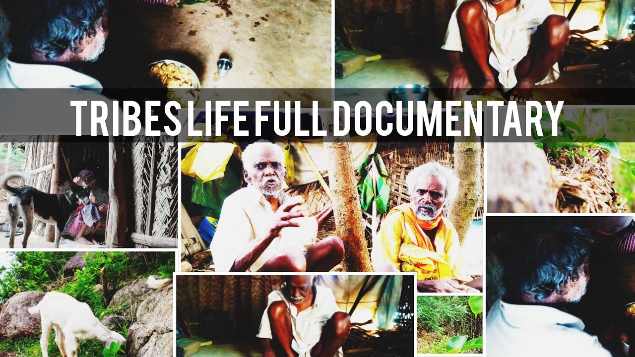 காடு செல்வோம் கண்மணியே!|MOUNTAIN VILLAGE LIFE|TRIBES OF INDIA|TAMIL TRIBES|TRIBAL LIFE|FOREST LIFE