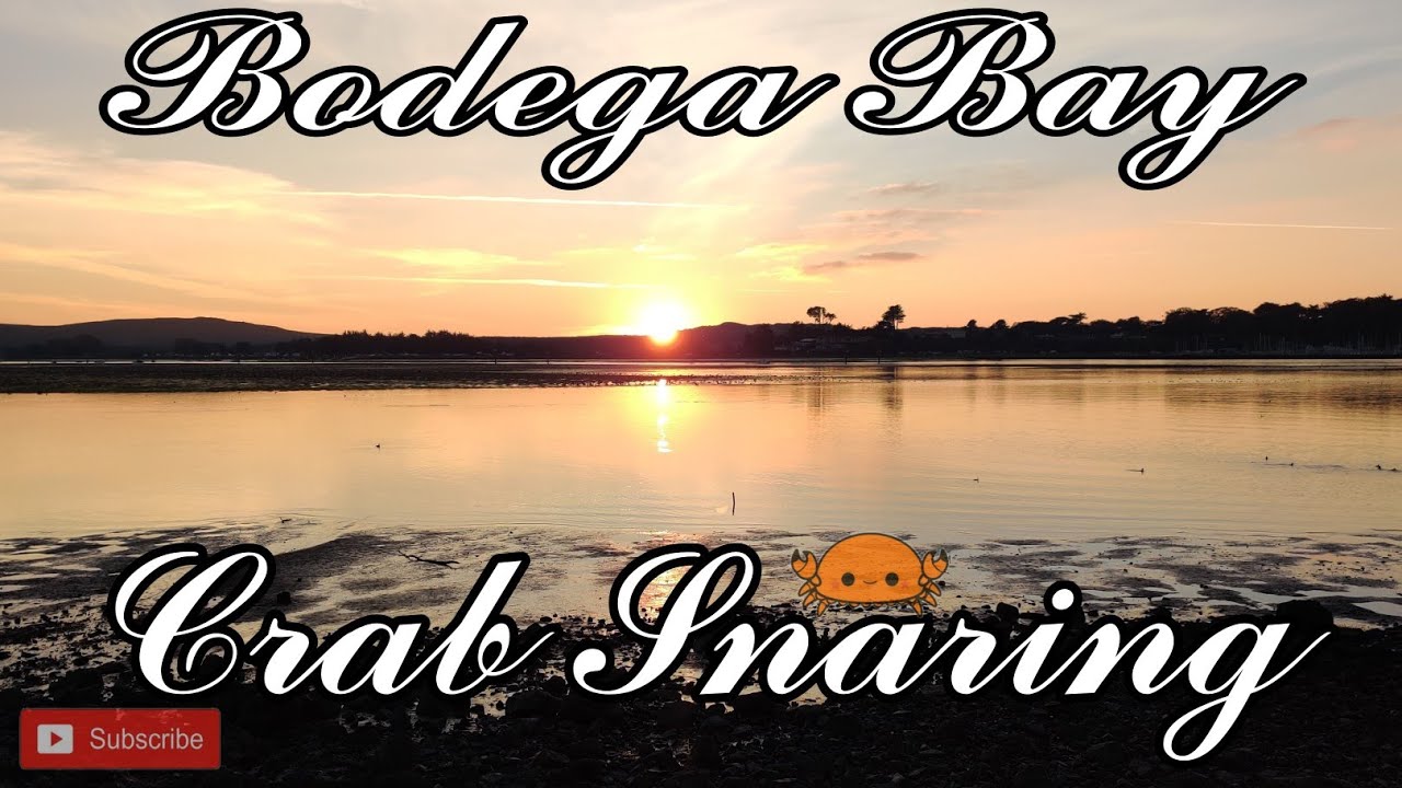 Bodega Bay Dungeness Crab Snaring [ Are The Dungeness Finally Moving In!? ]