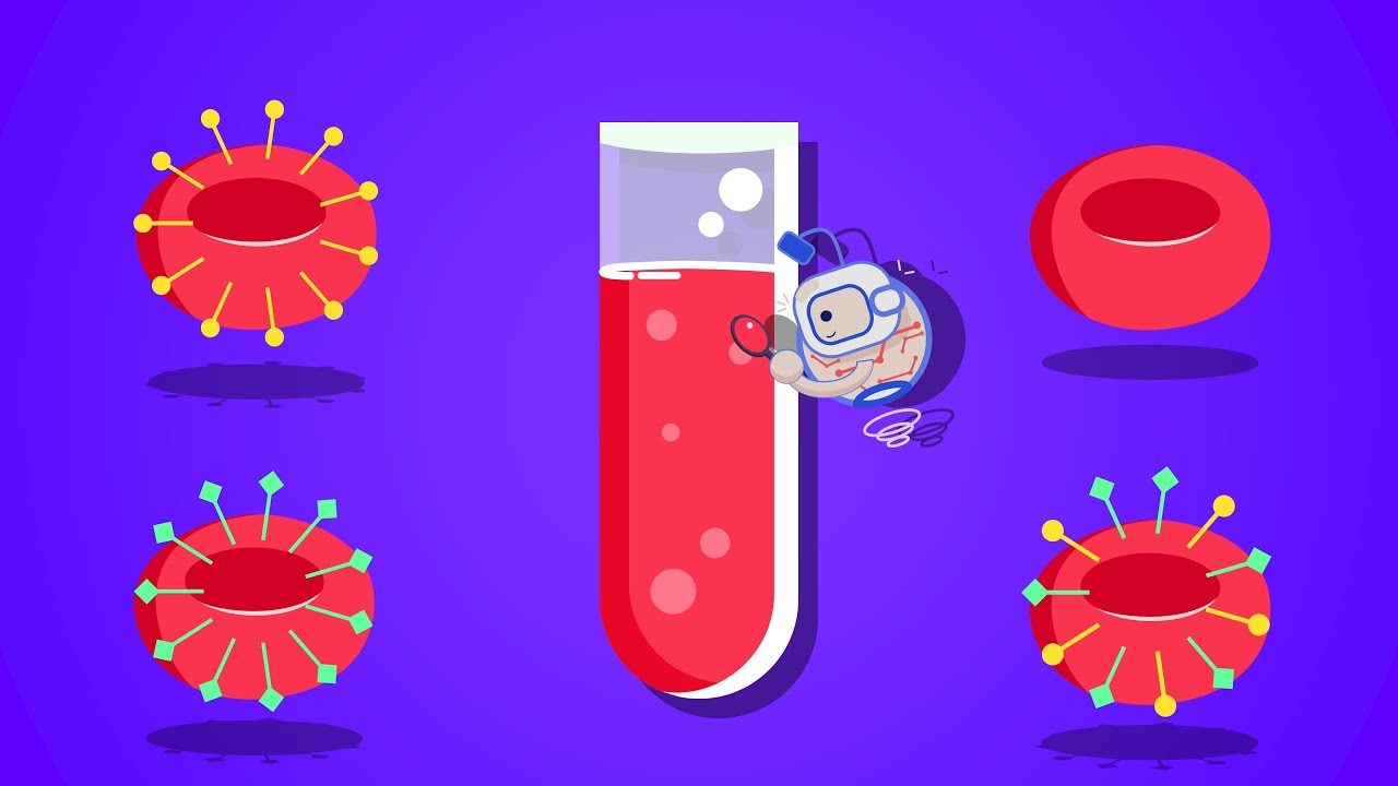 فصائل الدم │Blood Groups