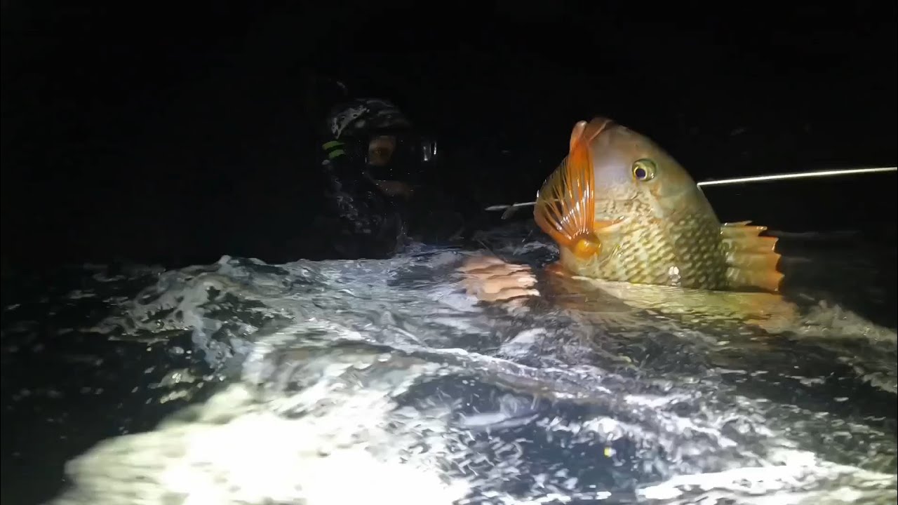 Full of action night hunt! JACKPOT sa biglaang dayo pero buwis buhay sa pag-uwi