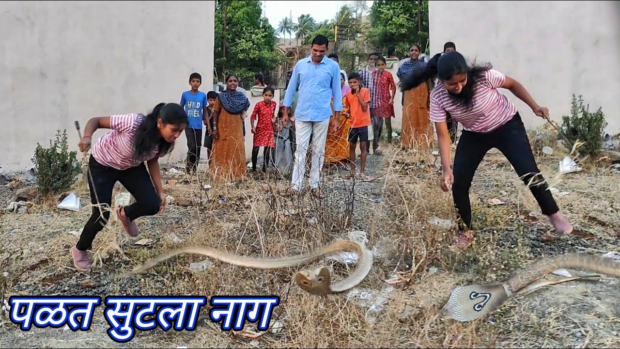 नाग सुटला पळत🙆🏻‍♀️ उडाली खळबळ..सापडता सापडेना हा नाग..बघा कसा पकडला या नागाला
