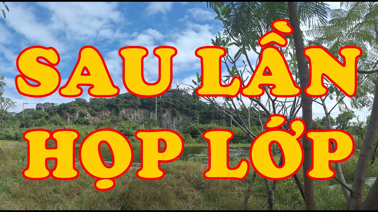 Hồi Ký Miền Nam | SAU LẦN HỌP LỚP (Hoàng Thị Bích Hà)