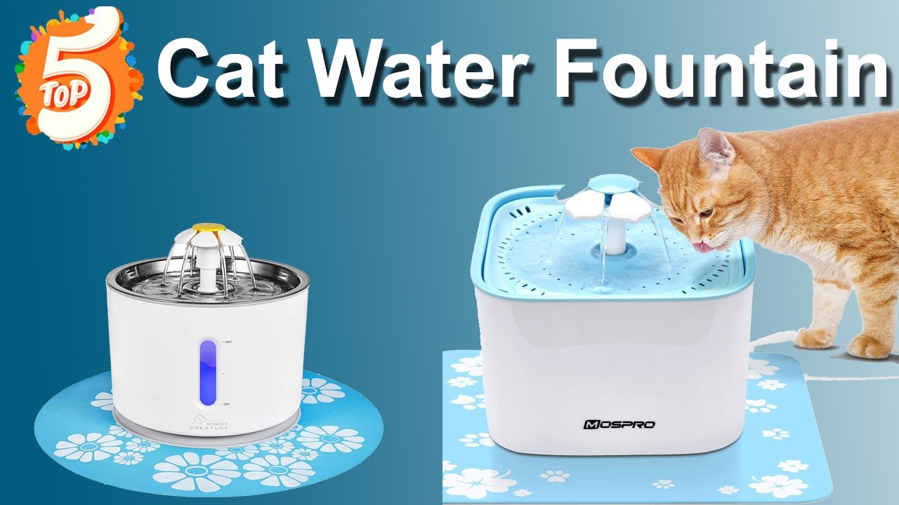 Top 05 Best Cat Water Fountain on Amazon || Gadget Express