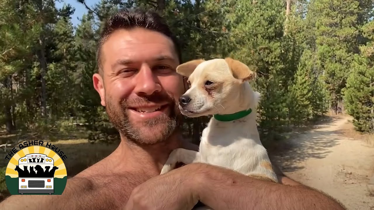 Stella Knew I Had To Bring These Dogs Into Our Lives | The Asher House