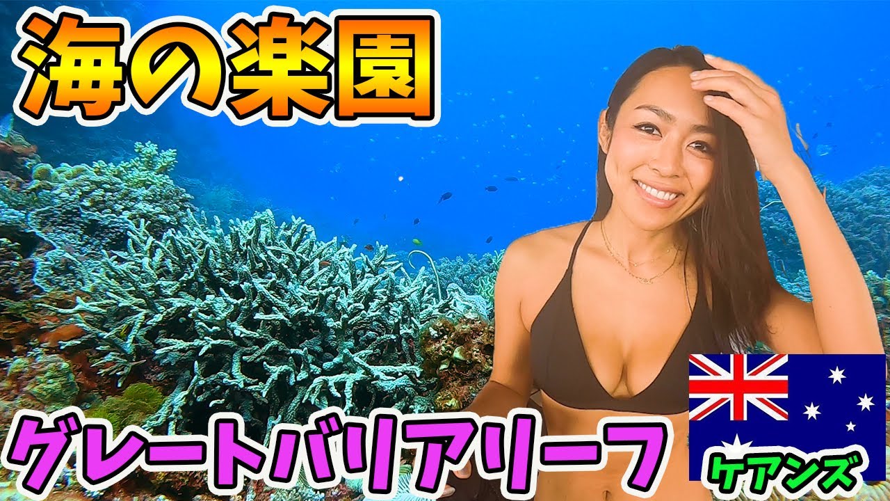 【天国の海】一生に一度は訪れたい!!世界遺産グレートバリアリーフでダイビング!!