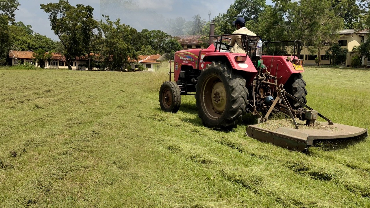 Mowing the grass on a playground | Mowing the lawn with a tractor | garden grass cutting |  芝を刈ります。