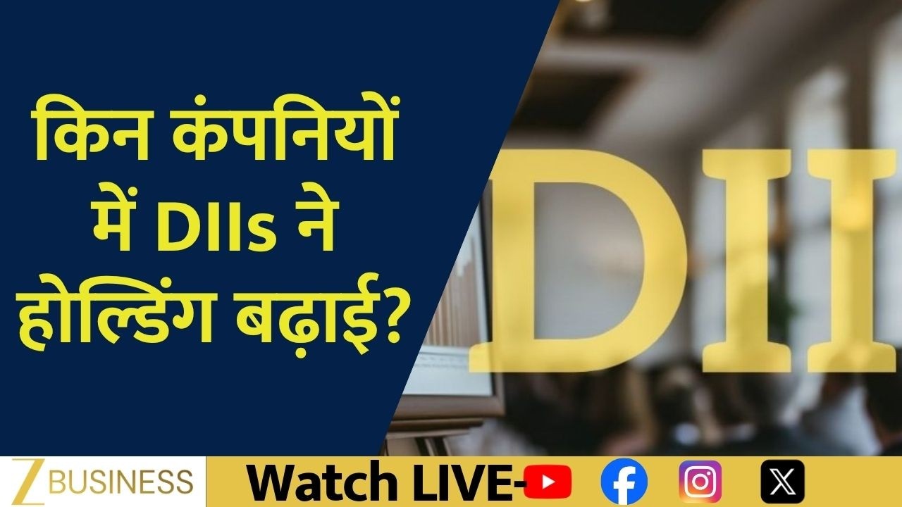 Which Stocks Saw the Biggest DII Buying? Top Holdings Revealed