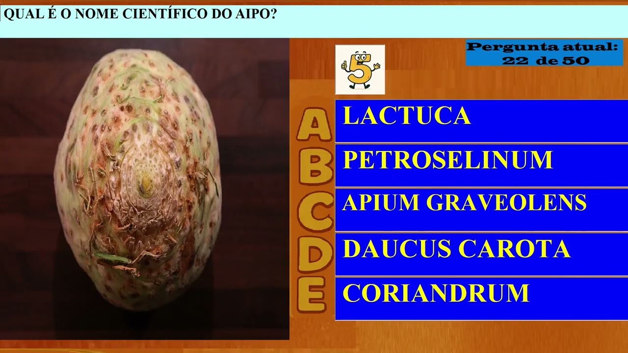 QUIZ FAMÍLIA