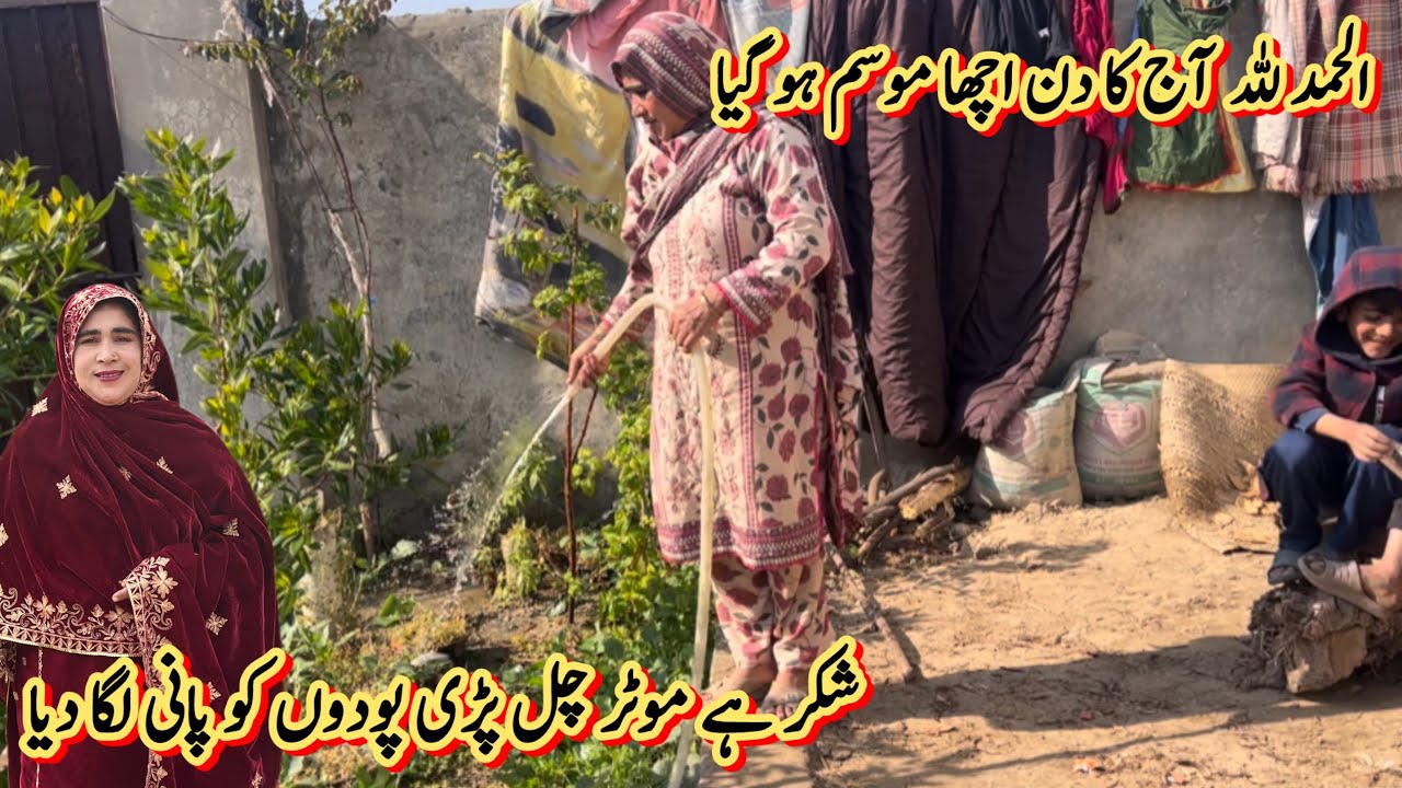 الحمد للہ آج کا دن اچھا موسم ہو گیا 🥰شکر ہے موٹر چل پڑی پودوں کو پانی لگا دیا 😄صبا فادر ولوگ