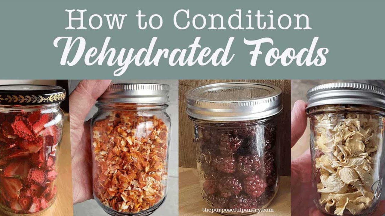 How to Condition Dehydrated Foods for Food Storage and Pantry