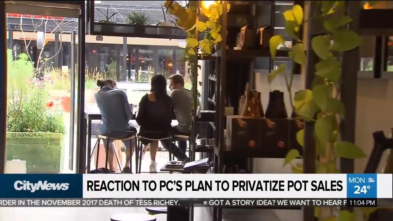 Toronto reacts to government plan for pot sales
