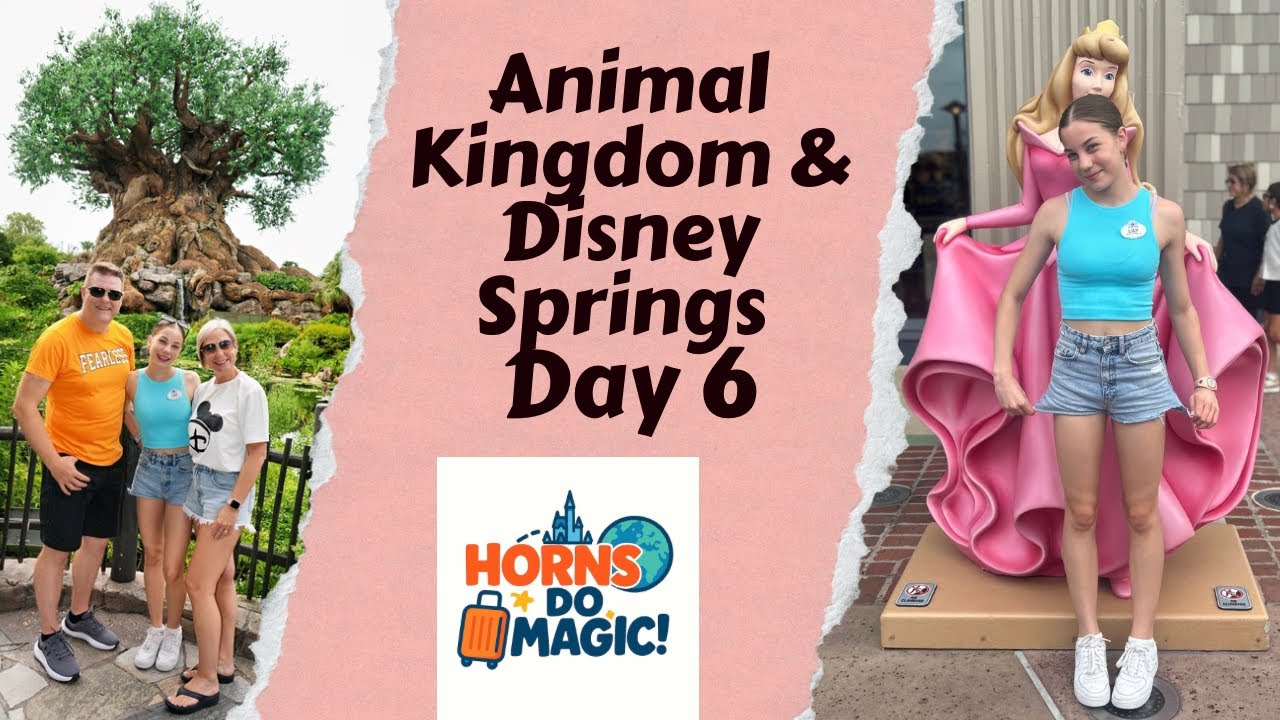 Animal Kingdom | Disney Springs | Shopping