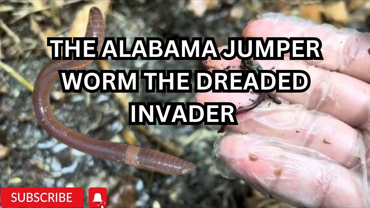 How Alabama jumping worms could destroy your garden 