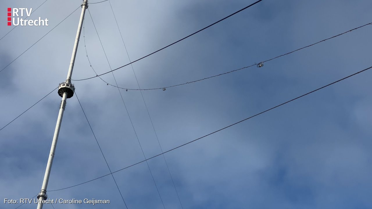Eerste Lampen de lucht in van de grootste 'kerstboom' ter wereld [RTV Utrecht]