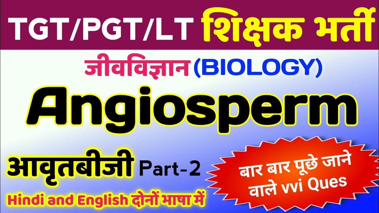 Angiosperm related TGT PGT MCQ | tgt pgt biology class | tgt pgt biology practice set | tgt pgt bio