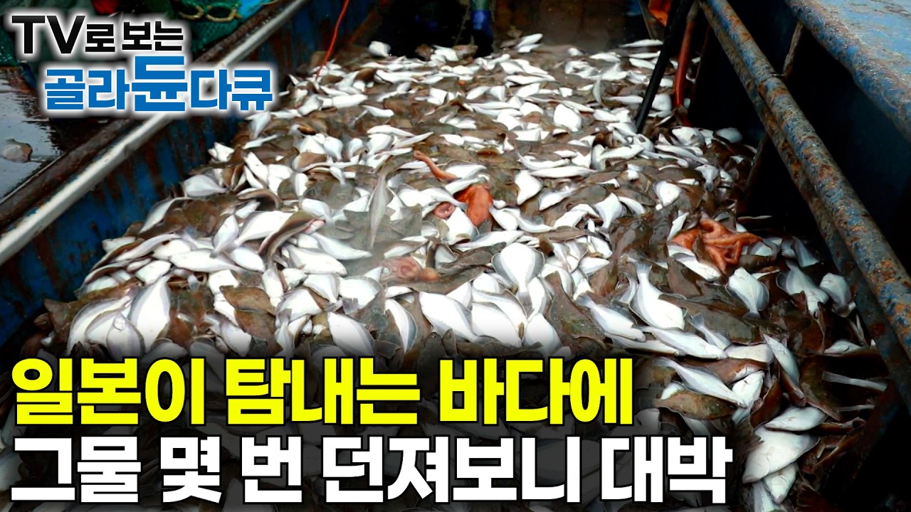 비싼 건 한 상자에 18만원, 하루에 220상자가 잡혔다｜일본이 탐내는 바다에 그물 던졌더니 바로 퇴근하게 생겼다｜방어진 가자미 잡이｜바닷가 사람들｜#골라듄다큐