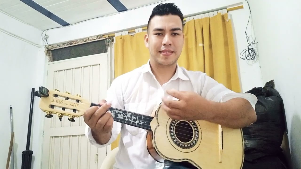 Si te pudiera mentir vihuela mariachi mexico vive