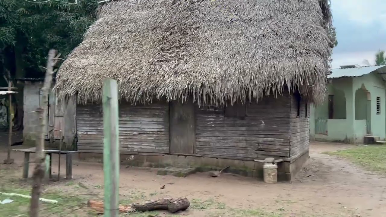 Sangrelaya, Ciriboya y Cusuna