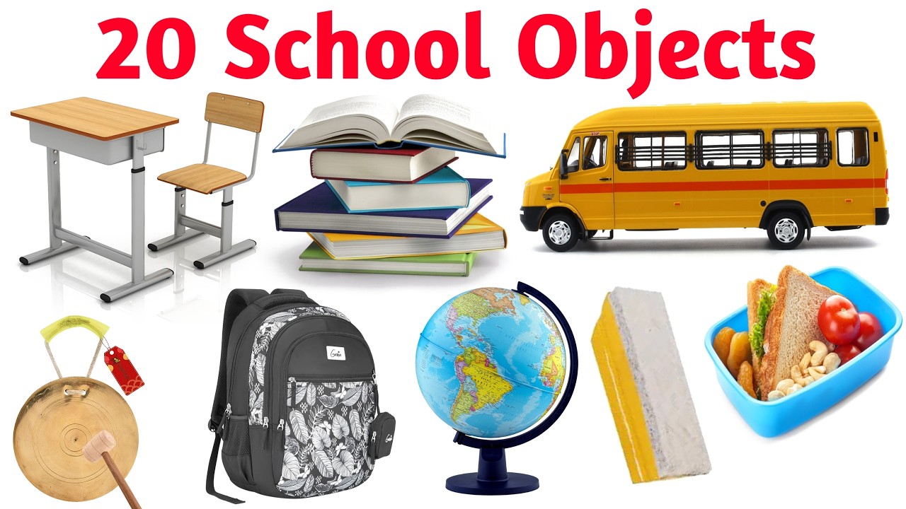20 School Objects के नाम | Learn School Objects Names in English | Educational Video