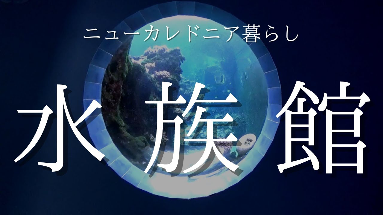 【ニューカレドニア】人少なく心底リラ～ックスできる水族館｜お昼はバーガーキング｜日本未出店アモリーノもご紹介♡