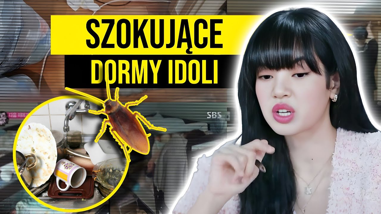 Bardzo NIELUKSUSOWE dormy k-pop idoli 🪳