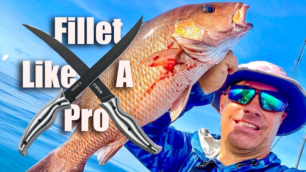 How to Fillet A Mangrove Snapper