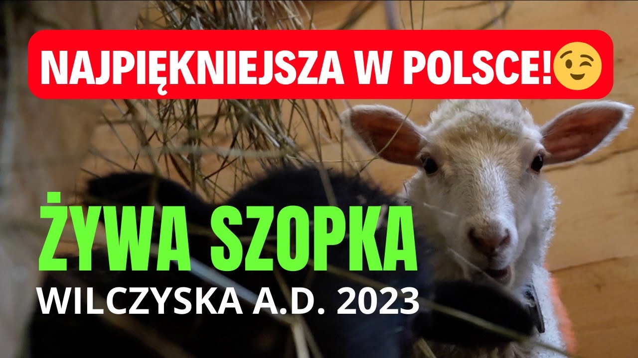 ŻYWA SZOPKA 2023 w Wilczyskach - najpiękniejsza w Polsce!