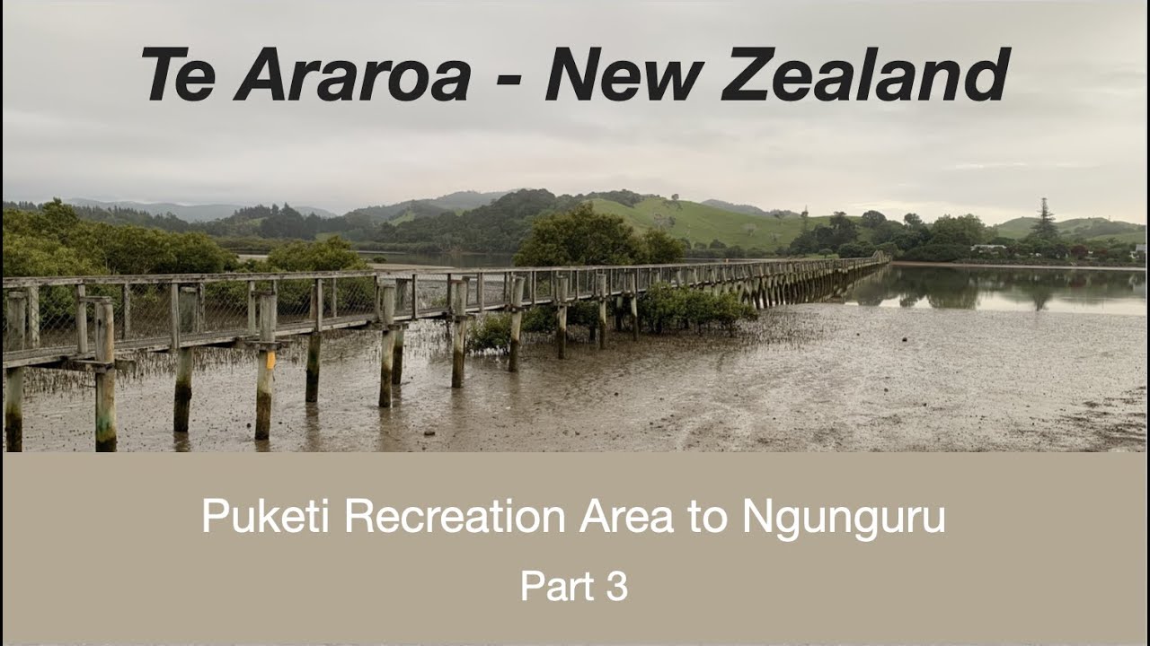 Puketi Recreation Area to Ngunguru - Te Araroa (Part 3)