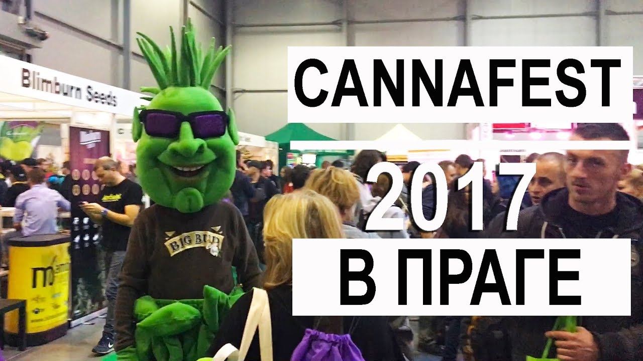 Влог: Мы на Cannafest 2017 в Праге | CBD и THC тестер / Mr.GrowChannel
